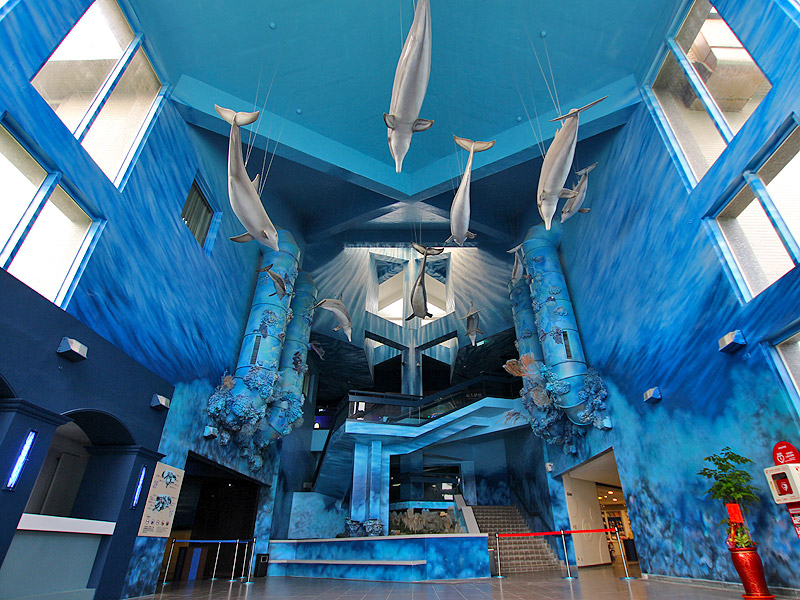 澎湖水族館 縮圖