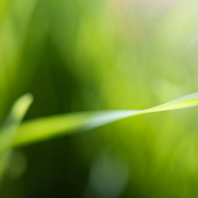 請輸入圖片標題