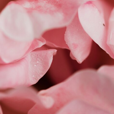 請輸入圖片標題