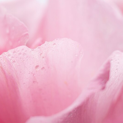 請輸入圖片標題