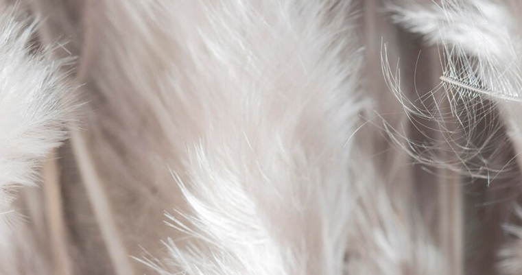 請輸入圖片標題