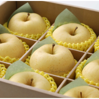 日本青森金星蘋果9入風景禮盒