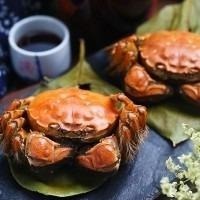 東海野生鮮甜沙蟹身