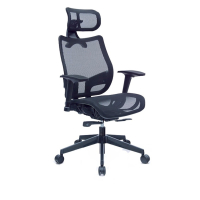 恰恰人體工學網椅-附頭枕(酷黑)