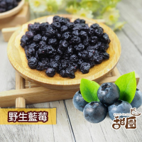 野生藍莓粒 無糖藍莓 60g隨身包 藍莓果乾 藍莓 水果乾 果乾 無糖果乾 豐富的花青素【甜園】