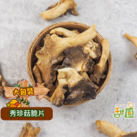 秀珍菇脆片 200g 蔬果脆片 蔬果餅乾 蔬果片  蔬菜乾 蔬菜條 乾燥蔬果  脫水蔬菜 素食 【甜園】