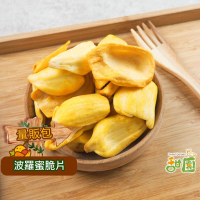 波羅蜜脆片 1kg 蔬果脆片 水果餅乾 水果片  水果條 乾燥水果  脫水水果 素食【甜園】