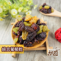 綜合葡萄乾  500g大包裝 葡萄乾 白葡萄乾 蔓越莓果乾 青堤子 水果乾 果乾【甜園】