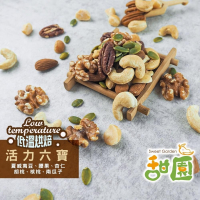 爆紅特賣！活力綜合堅果 六寶 堅果 懶人堅果 低溫烘焙 原味堅果【甜園】