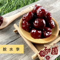 脫水李 200g 酸甘甜 蜜餞 解膩 古早味蜜餞 辦公室零食 蜜餞推薦 懷舊滋味 台灣蜜餞【甜園】