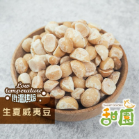 生夏威夷豆 500g 低溫烘焙 養生堅果 每日堅果 減醣  綠拿鐵 精力湯 堅果 烘焙原果 【甜園】