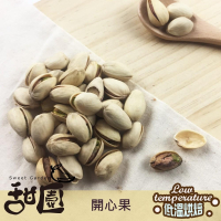 自然開殼 開心果 250g 低溫烘焙 養生堅果  減醣  綠拿鐵 精力湯 堅果【甜園】