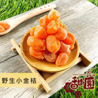 野生小金桔 200g 酸甘甜 蜜餞 解膩 古早味蜜餞 辦公室零食 蜜餞推薦 懷舊滋味【甜園】