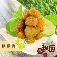 檸檬梅 200g 酸甘甜 蜜餞 解膩 古早味蜜餞 辦公室零食 蜜餞推薦 懷舊滋味【甜園】