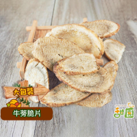 牛蒡脆片 230g 蔬果脆片 蔬果餅乾 蔬果片  蔬菜乾 蔬菜條 乾燥蔬果  脫水蔬菜 素食  【甜園】