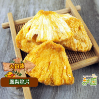 鳳梨脆片 180g  蔬果脆片 水果餅乾 水果片   水果條 乾燥水果  脫水水果 素食【甜園】