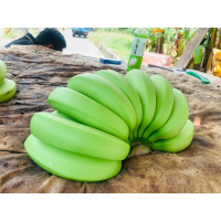 新鮮青蕉 - 營養豐富的健康水果，提升腸道健康與心臟功能的完美選擇