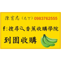 香蕉收購服務 - 專業、快速且誠信的香蕉到園收購方案，助您最大化收益！