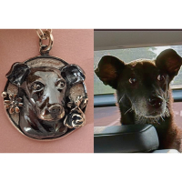 獨一無二的寵愛象徵：客製化狗狗銀飾，為愛犬打造專屬魅力！