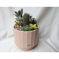 多肉森林公園：夢幻綠意天堂，打造專屬微型自然景觀！