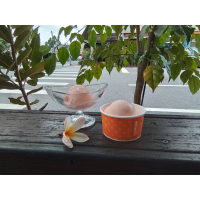 紅心芭樂冰淇淋