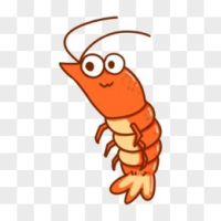 蝦子(測試商品勿下單)