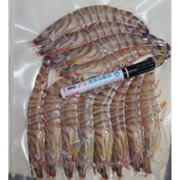 澎湖野生大明蝦：鮮甜滋味的海洋珍饈，海鮮迷的夢幻首選！